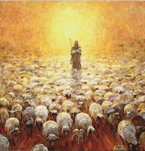 jesus-good-shepherd-follows-sheep